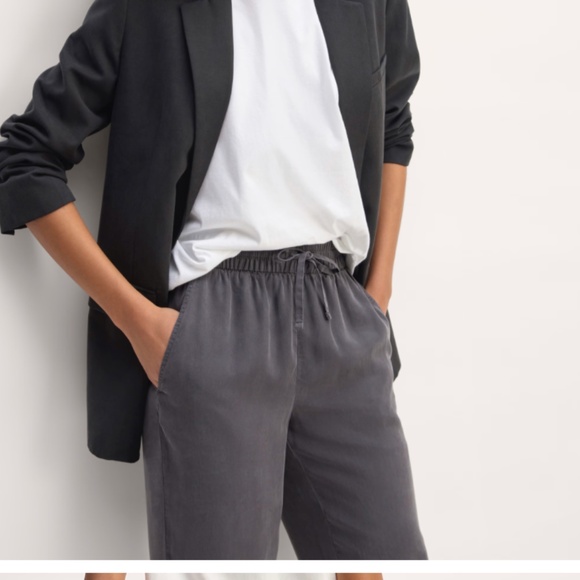 Everlane - The Tapered Pant in Butterlite Graphite - Womens Size Medium - Picture 2 of 7